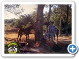 Amambay e Amamba� - 004
