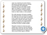 Cavalo Branco