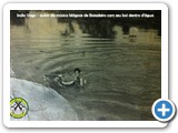 �ndio Vago - 005