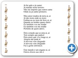 Botina Aperta no P�