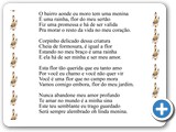Flor do Sert�o