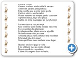 Vidinha Boa L� da Ro�a