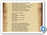 N�s e os Loucos