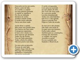 O Sert�o e a Capital