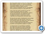 Pioneiro do Sert�o