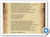 Plenil�nio