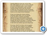 P�talas de Rosa
