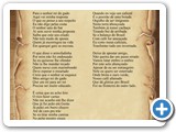 Rei do Caf�