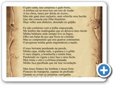 Saudades de Pe�o