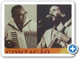 Livro Gonzaguinha e Gonzag�o