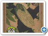Oleg�rio Mariano - Livro �ltimas Cigarras