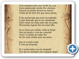 Bot�o de Rosa