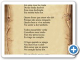 Bela Flor