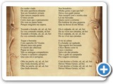 Boiadeiro Errante