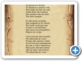 Cabecinha de Vento