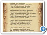Flor Cabocla
