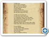 Folha Seca