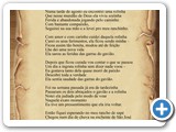 Ingrata Rolinha