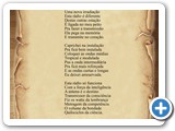 Nova Irradia��o