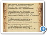 Pingo D'�gua