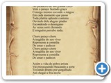 Vida de Palha�o